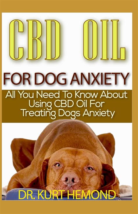 How To Use Cbd For Dog Anxiety