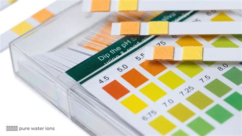 How To Use PH Test Strip Simple StepByStep Guide