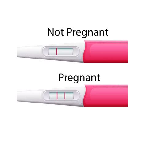 How To Use Pregnancy Test Tube