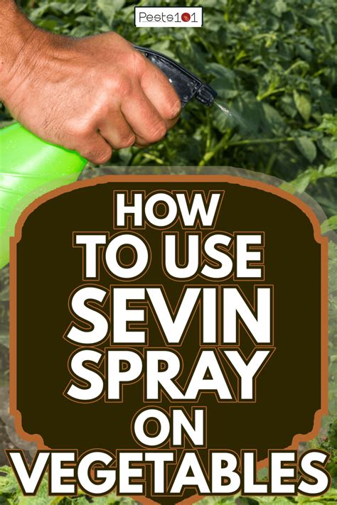 How To Use Sevin Spray On Vegetables - Pests101.com