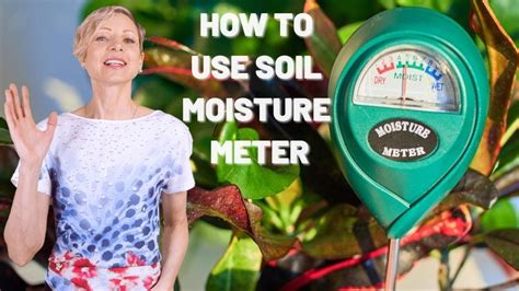 How To Use Soil Moisture Meter To Avoid Over & Under Watering My City