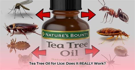 How To Use Tea Tree Oil To Kill Parasites