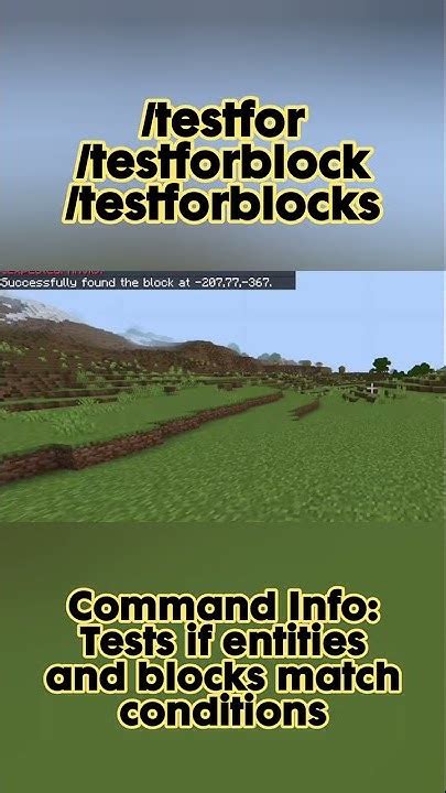 How To Use The Testforblock Command In Minecraft