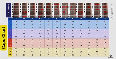 How To Use a Guitar Capo Chart Guitar capo, Basic