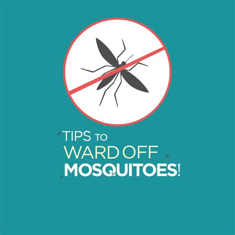 How To Ward Off Mosquitoes - PestsProGuide.com