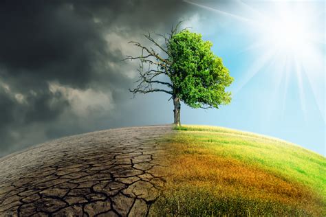 How Video Calls Are Affecting the Environment