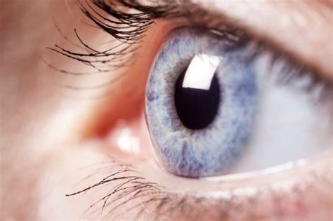 How Your Eyes See Light Eye Doctors in Denver