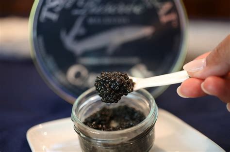 How a California caviar producer with a fake Russian name became the vanguard of sustainable aquaculture