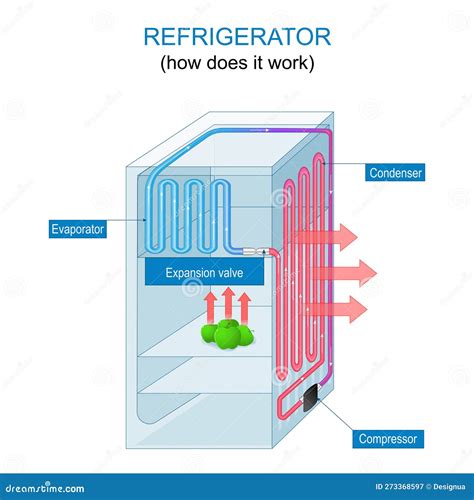 How a Refrigerator Works - Newfane Elementary School