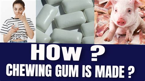 How a chewing gum is made