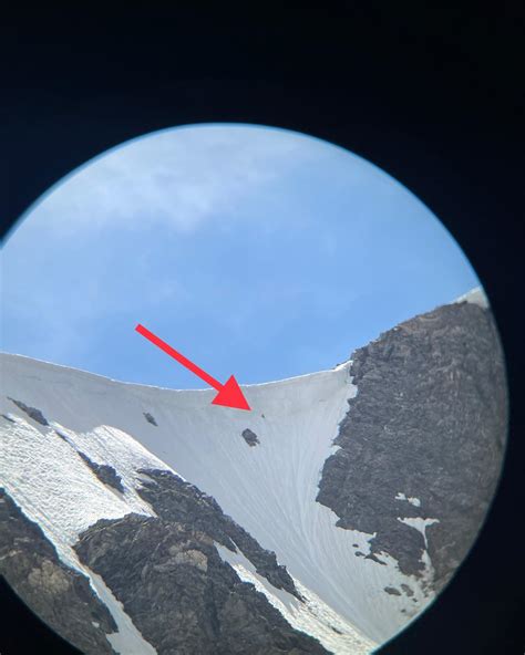 How a dog was rescued from the face of Torreys Peak