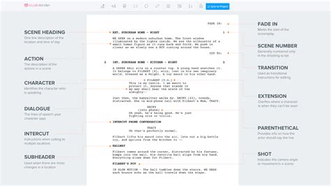 How a screenplay should look