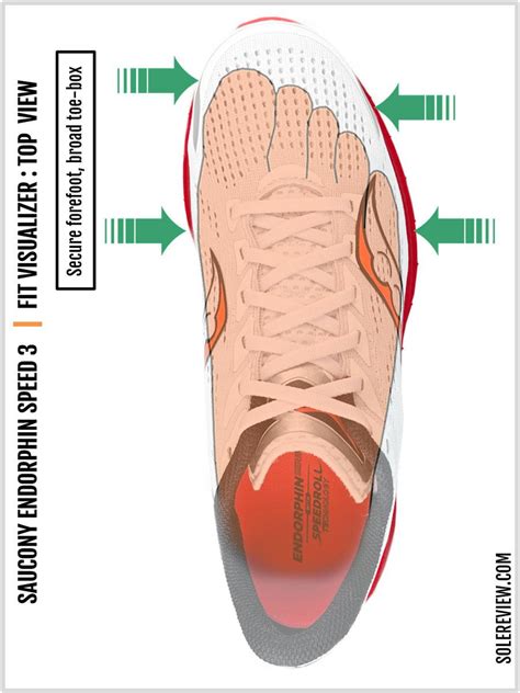 How a shoe should fit