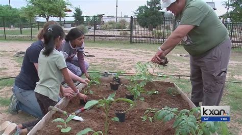 How an Austin-based nonprofit is providing Texans access to nutritious food