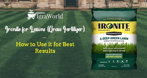 How and When To Use Ironite In A Lawn For Best Results? - Naturallist