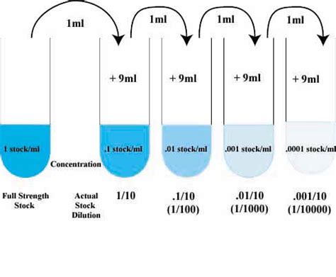 How are CFU/ml calculated after serial dilution? ResearchGate