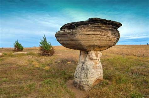 9. Wind sometimes picks up _____and blows them into rocks causing the rock to erode. 10. "Mushroom rocks" are formed by _____ erosion. 11. Sand on beaches is caused by erosion from _____. 12. _____ can hold back soil from eroding and also break rocks apart - causing erosion. 13.