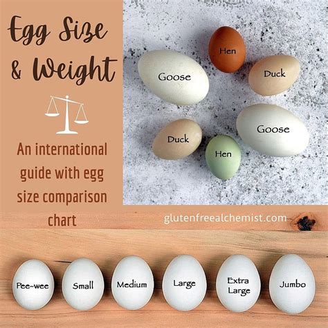 How big is a large egg