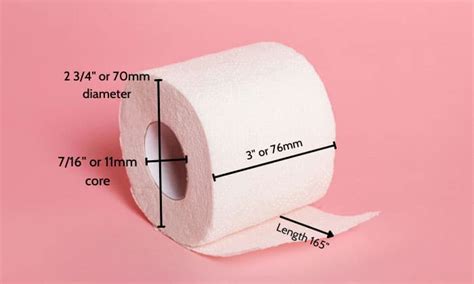 How big is a toilet paper roll. I've tried many brands of toilet paper, but I prefer Angel Soft, preferably in the space-saving 6-mega roll pack, where 6 mega rolls = 24 regular rolls. Although Angel Soft has recently cut down the number of sheets in its rolls (a mega roll used to have 480 sheets, but it is now down to 425 sheets), the brand … 