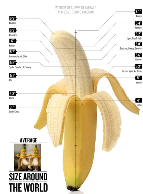 How big is average dick size