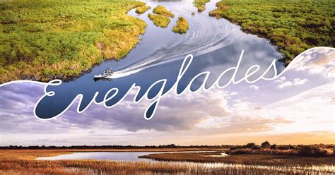 How big is the Everglades in miles? – Sage-Answer