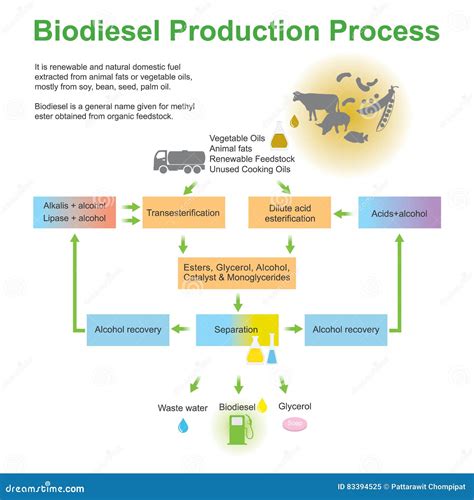 How biodiesel is obtained