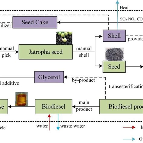 How biodiesel is prepared