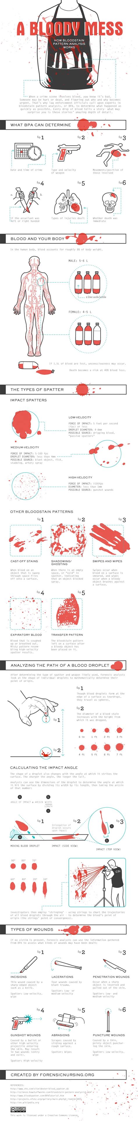 How bloodstain pattern analysis works Infographic r/coolguides