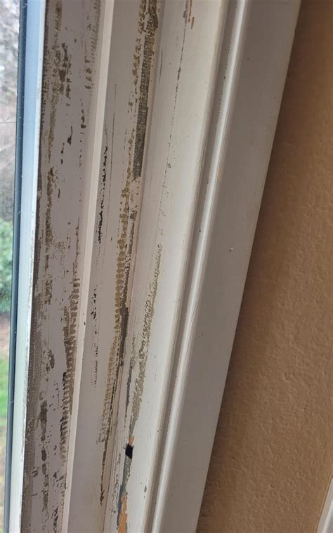 How can I remove decade old tape from wood/glass?