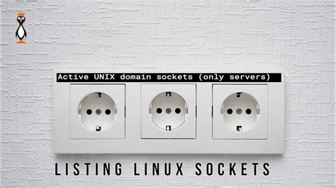 How can I see open sockets in Linux? - OS Today