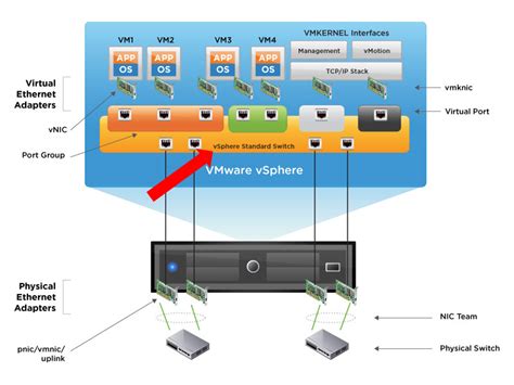 How can I see which VLAN a virtual network interface is assigned to