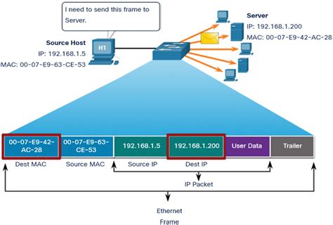 How can I send a raw ethernet frame only by mac address?