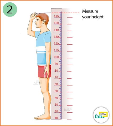 Learn how to accurately measure your height. Learn how to accurately measure your height..
