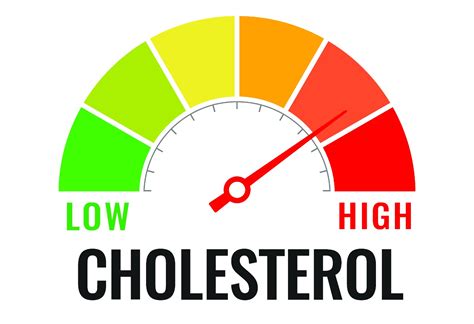How cholesterol is increased