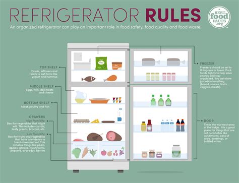 How cold should a refrigerator be kept