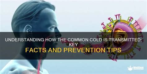 How common cold is transmitted