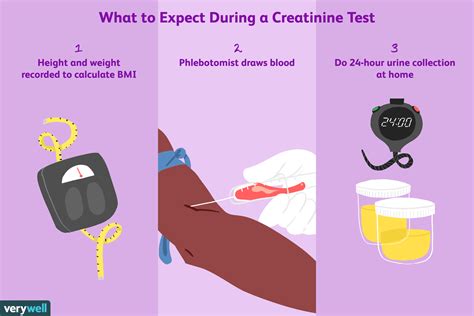 How creatinine test is done