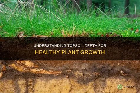 How deep should topsoil be for garden