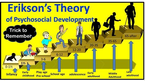 How did Erik Erikson develop his theory? – AnswersAll