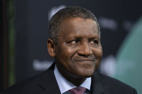 How did dangote get rich