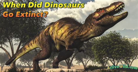 How did dinosaurs get extinct. It's generally thought that non-avian dinosaurs were killed by a massive comet or asteroid impact about 66 million years ago. Scientists believe this caused an "impact winter" which means there was so much dust in the air that it blocked out the sun, lowering temperatures and killing off plant life, and collapsing the food chain ... 