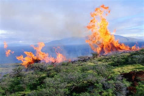 How did fires start in maui. A Maui County firefighter fights flare-up fires in a canyon in Kula on Maui island, Hawaii, August 13, 2023. MIKE BLAKE / REUTERS "The most destructive fires usually occur during drought. 