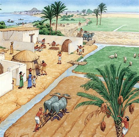 How did irrigation help farmers in mesopotamia
