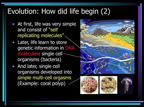 How did life start. The Earth formed roughly 4.5. ‍. billion years ago, and life probably began between 3.5. ‍. and 3.9. ‍. billion years ago. The Oparin-Haldane hypothesis suggests that life arose gradually from inorganic molecules, with “building blocks” like amino acids forming first and then combining to make complex polymers. 
