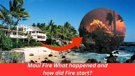 How did maui fire start. Things To Know About How did maui fire start. 