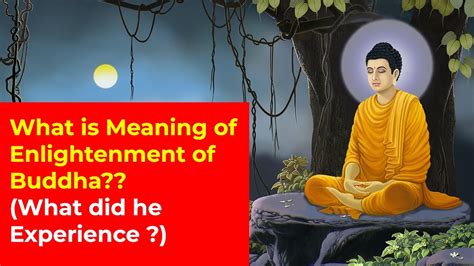 How did the Buddha know of Enlightenment if he was the first ... - Quora