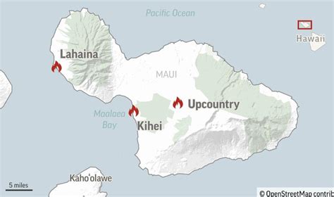 How did the maui fire start. By Max Matza in Maui, Madeline Halpert & Gabriela Pomeroy,BBC News. BBC. Tee Dang and her family suffered burns as they sat in the ocean for nearly four hours to escape the wildfire in Lahaina ... 