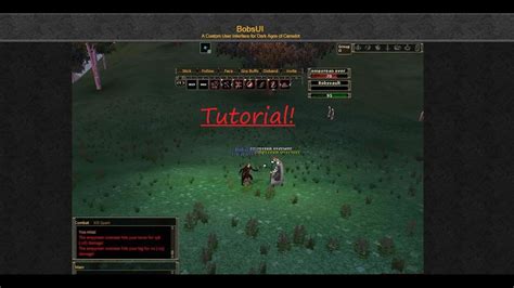 How do I customize the Custom UI? Dark Age of Camelot Wiki