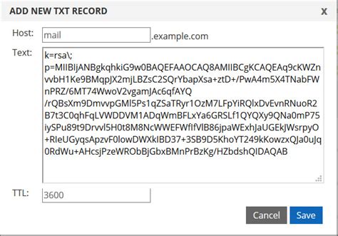 How do I enter a strong (long) DKIM key into DNS?