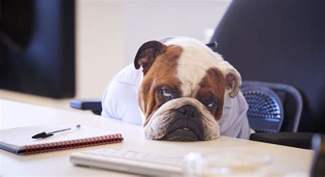How do I make my office less boring
